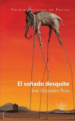 bokomslag soñado desquite