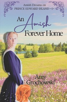 bokomslag An Amish Forever Home