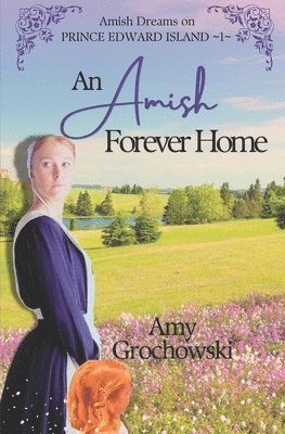 Amish Forever Home