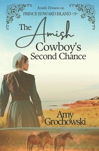 bokomslag The Amish Cowboy's Second Chance