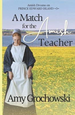 Amy Grochowski - Match for the Amish Teacher, Häftad
