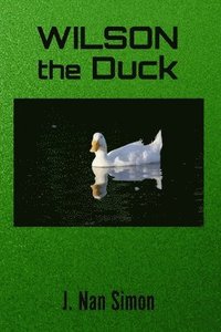 bokomslag Wilson the Duck