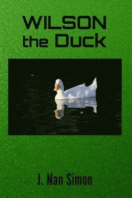 Wilson the Duck