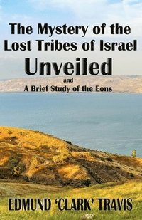 bokomslag The Mystery's of the Lost Tribes of Israel Unveiled