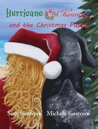 bokomslag Hurricane Channing and the Christmas Puppy