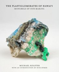bokomslag The Plastiglomerates of Hawai'i