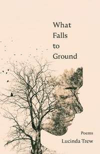 bokomslag What Falls to Ground