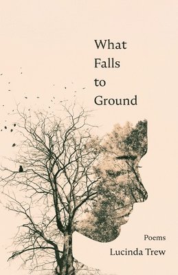 bokomslag What Falls to Ground