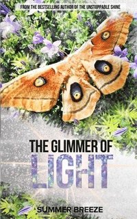 bokomslag The Glimmer of Light