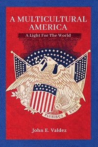 bokomslag Multicultural America