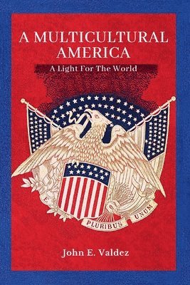 bokomslag Multicultural America