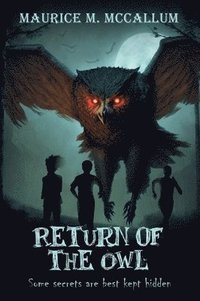 bokomslag Return of the Owl