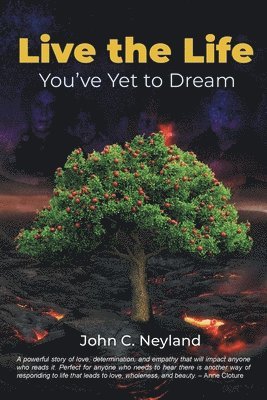 bokomslag Live the Life You've Yet to Dream