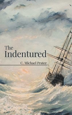 bokomslag Indentured