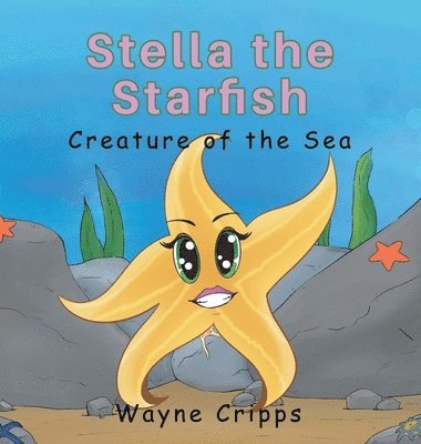 Stella the Starfish 1