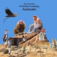 bokomslag Weirdest Looking Animals in the World Kids Book