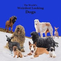 bokomslag Weirdest Looking Dogs in the World Kids Book