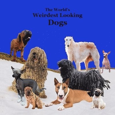 Weirdest Looking Dogs in the World Kids Book 1