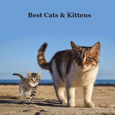 Best Cats and Kittens for Kids Book 1