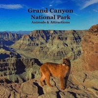 bokomslag Grand Canyon Park Animals and Attractions Kids Book