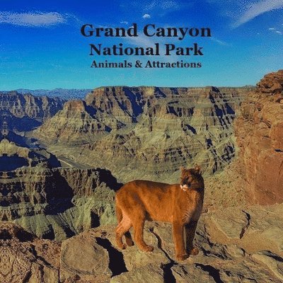 Grand Canyon Park Animals and Attractions Kids Book 1