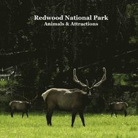 bokomslag Redwood National Park Animals and Attractions Kids Book