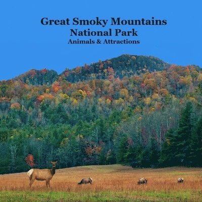 Kinsey Marie, National Parks Books, Billy Grinslott - Great Smoky Mountains National Park Kids Book, Häftad