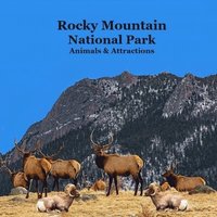 bokomslag Rocky Mountain National Park Animals & Attractions Kids Book
