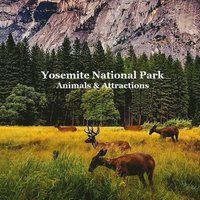 bokomslag Yosemite National Park Animals & Attractions Kids Book