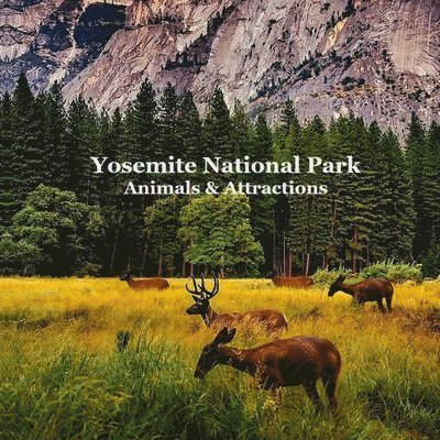 Yosemite National Park Animals & Attractions Kids Book 1