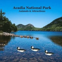 bokomslag Acadia National Park Animals and Attractions Kids Book