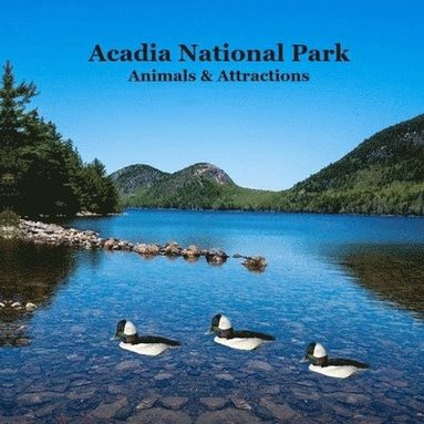 bokomslag Acadia National Park Animals and Attractions Kids Book