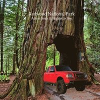 bokomslag Redwood National Park Attractions and Sights to See Kids Book