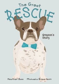 bokomslag The Great Rescue - Grayson's Story