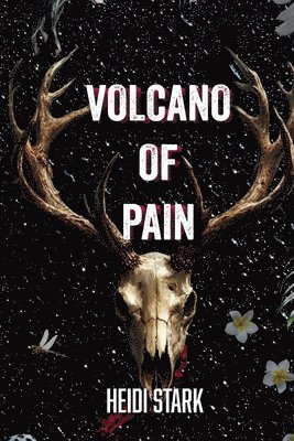 Volcano of Pain 1