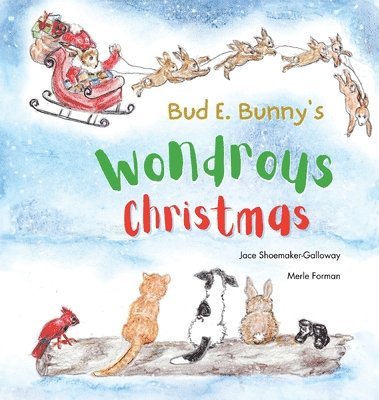 Bud E. Bunny's Wondrous Christmas 1