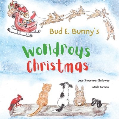 Jace Shoemaker-Galloway - Bud E. Bunny's Wondrous Christmas, Häftad