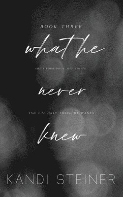 Kandi Steiner - What He Never Knew, Häftad