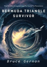 bokomslag Bermuda Triangle Survivor: Pilot Tells What He Experienced in The Heart of the Phenomenon
