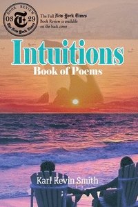 bokomslag Intuitions