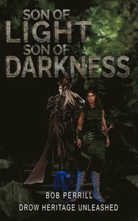 bokomslag Son of Light, Son of Darkness