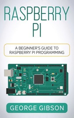 Raspberry Pi 1