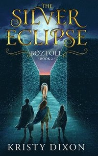 bokomslag The Silver Eclipse