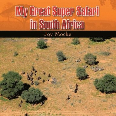 bokomslag My great Super Safari in South Africa