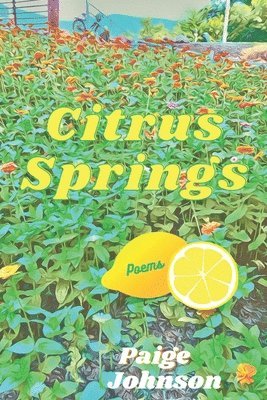 Citrus Springs 1