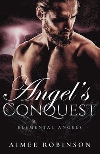 bokomslag Angel's Conquest