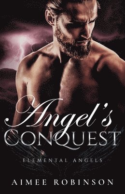 Angel's Conquest 1