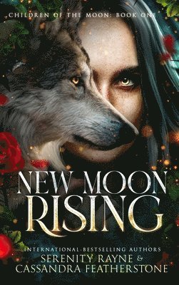 bokomslag New Moon Rising