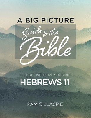 bokomslag A Big Picture Guide to the Bible
