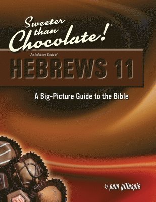 bokomslag Hebrews 11: A Big Picture Guide to the Bible